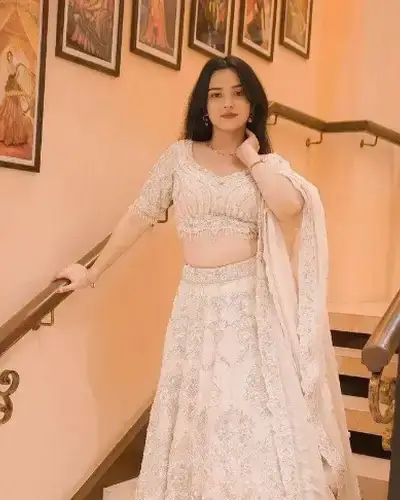 Escort Service In Sridungargarh